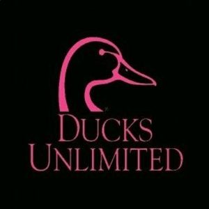 Meet your Posher, Callie